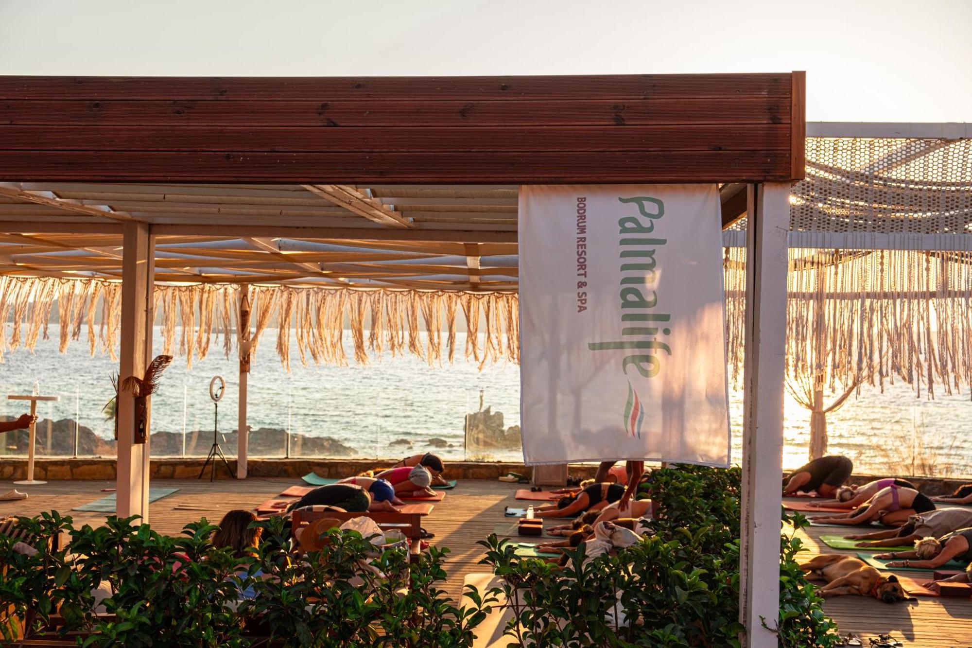 Palmalife Hotel Yalıkavak Eksteriør billede